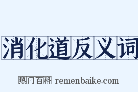 消化道反义词是什么意思的图片